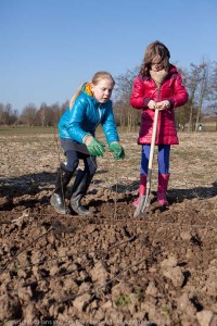 160 kinderen van basisscholen uit Elst planten hagen voor voedse